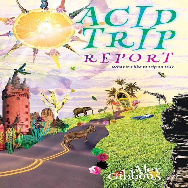 Acid Trip Report: What it’s like to trip on LSD