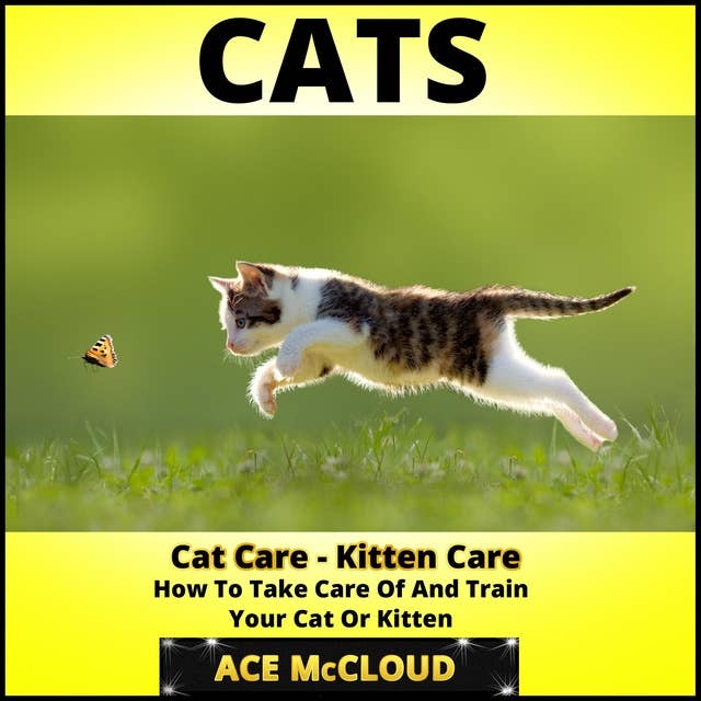 Cats - Cat Care: Kitten Care: How To Take Care Of And Train Your Cat Or Kitten