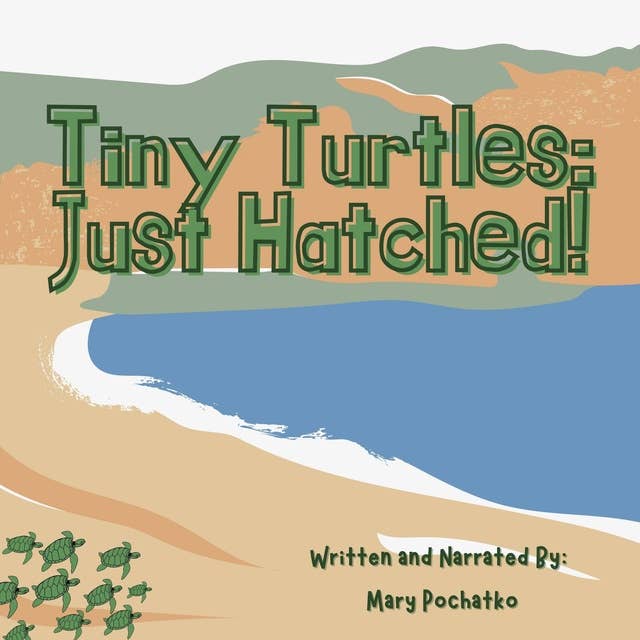 Tiny Turtles: Just Hatched!