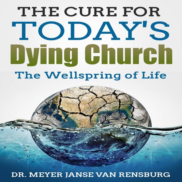 The Cure for Today's Dying Church: The Wellspring of Life