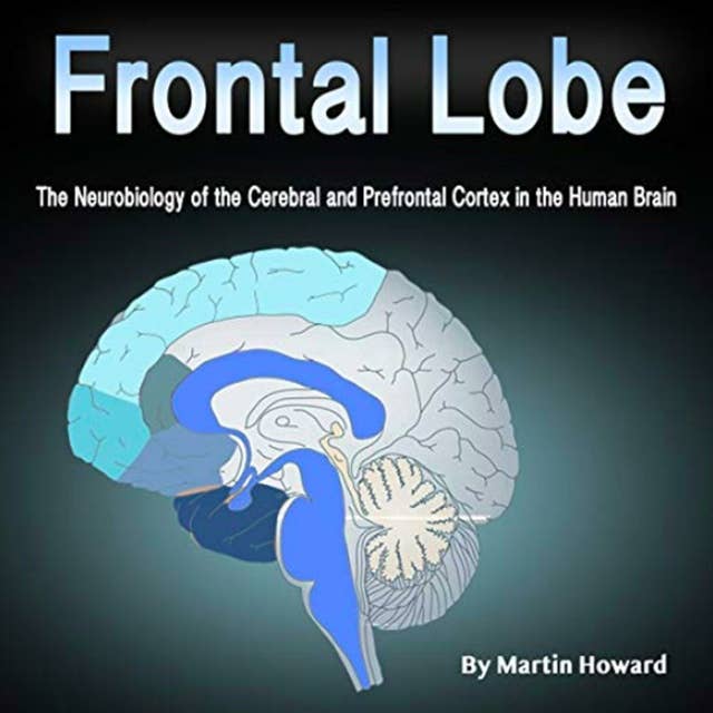 Frontal Lobe: The Neurobiology of the Cerebral and Prefrontal Cortex in the Human Brain