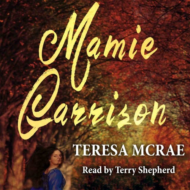 Mamie Garrision: A novel of slavery, abolition, history and romance