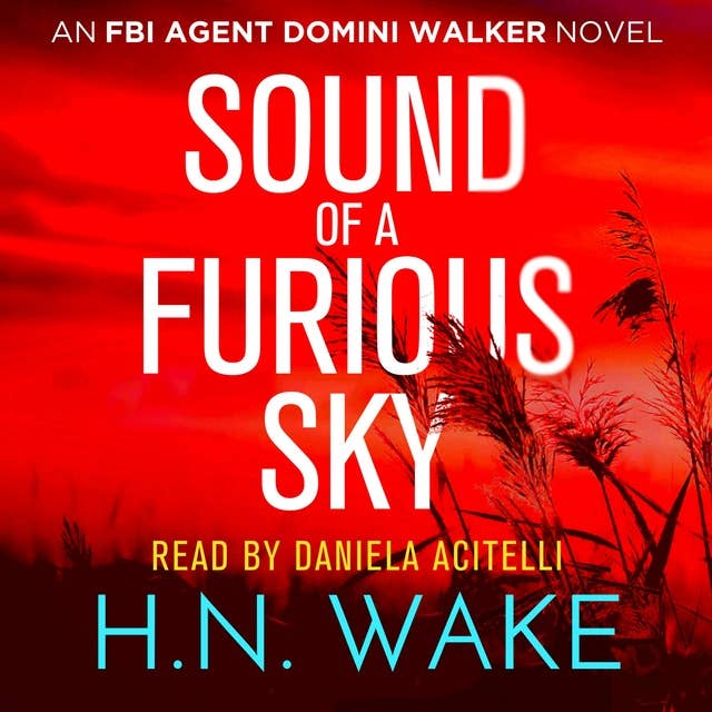 Sound of a Furious Sky: FBI Agent Domini Walker Book 1