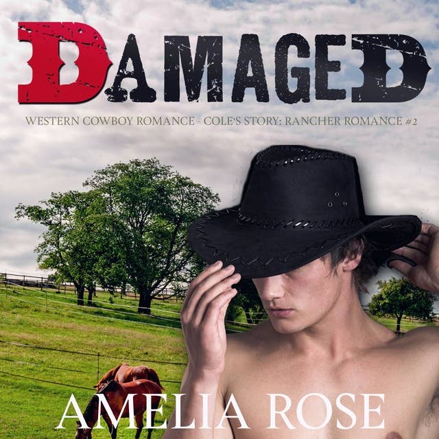 Damaged: Western Cowboy Romance - Darrell's story