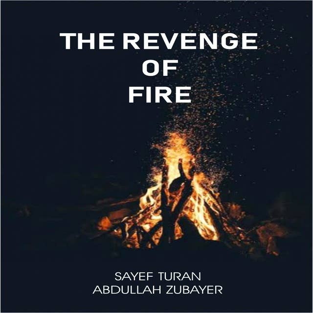 The Revenge of Fire