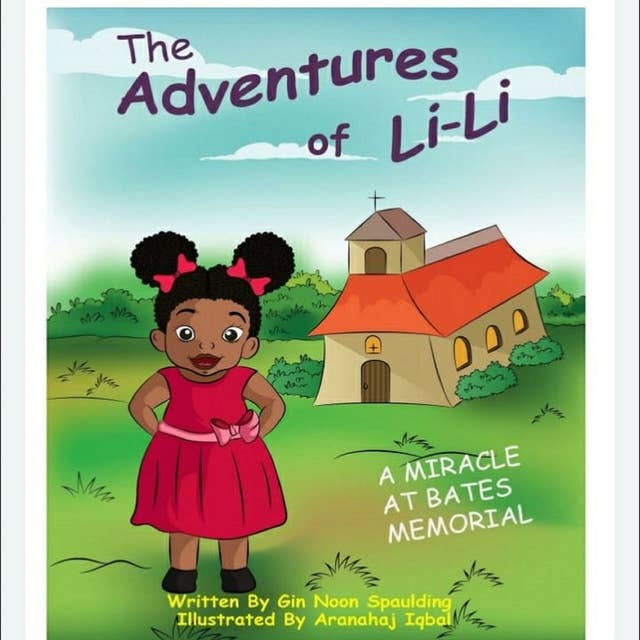 A Miracle at Bates Memorial: The Adventures of Lili: The Adventures of Lili