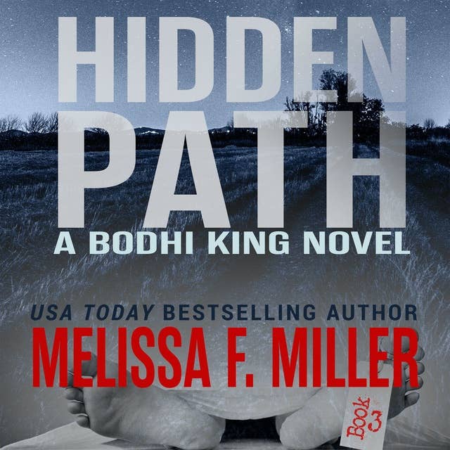 Hidden Path: A Bodhi King Novel