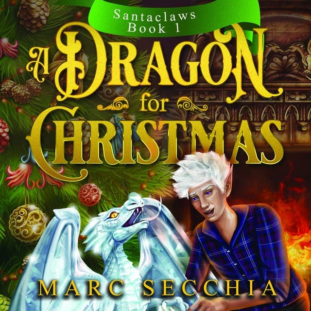 A Dragon for Christmas: Santaclaws: Book 1