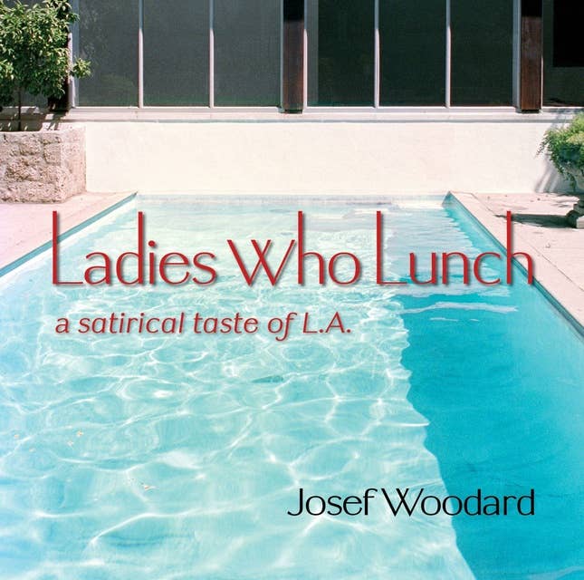 Ladies Who Lunch: A satirical novel about L.A. in the nineties
