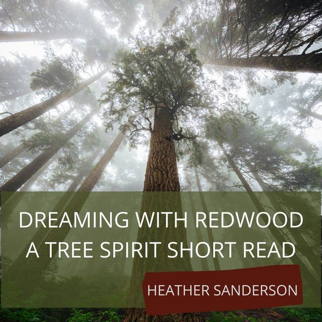 Dreaming with Redwood: A Tree Spirit Short Read