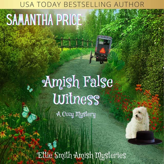 Amish False Witness: A Cozy Amish Mystery