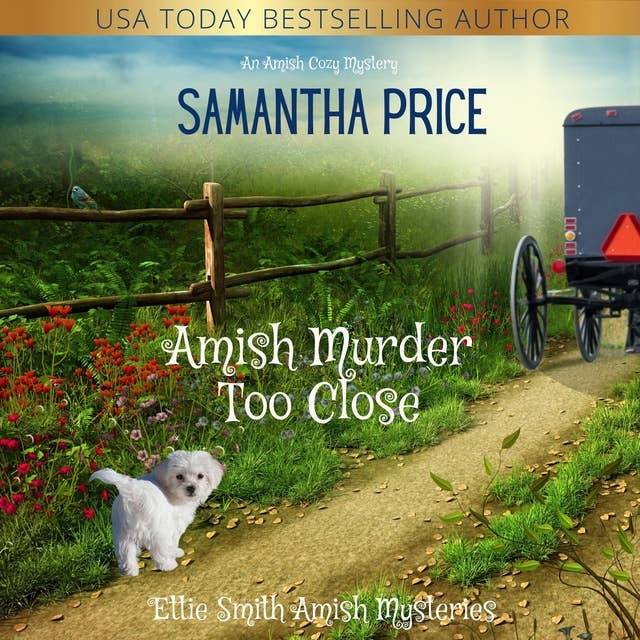 Amish Murder Too Close: Amish Cozy Mystery
