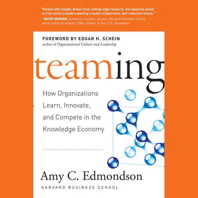 Teaming : How Organizations Learn, Innovate and Compete in the Knowledge Economy