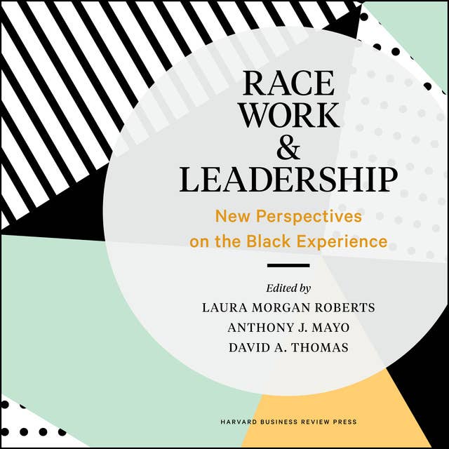 Race, Work, and Leadership: New Perspectives on the Black Experience