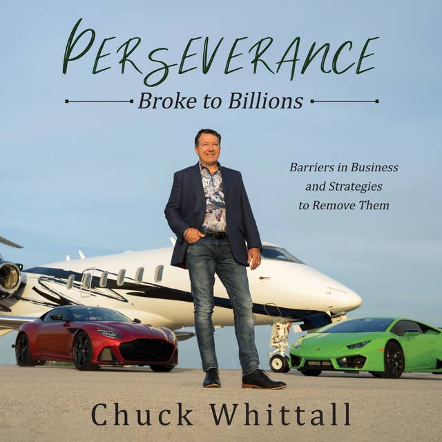 Cover for Perseverance: Broke to Billions: Barriers in Business and Strategies to Remove Them