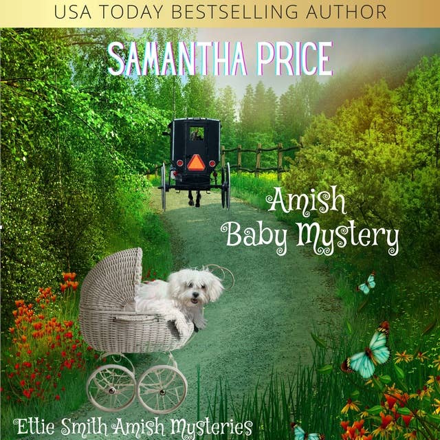 Amish Baby Mystery: Amish Cozy Mystery