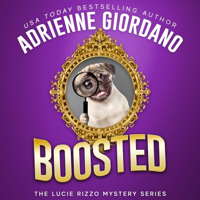 Boosted: A Funny Romantic Mystery