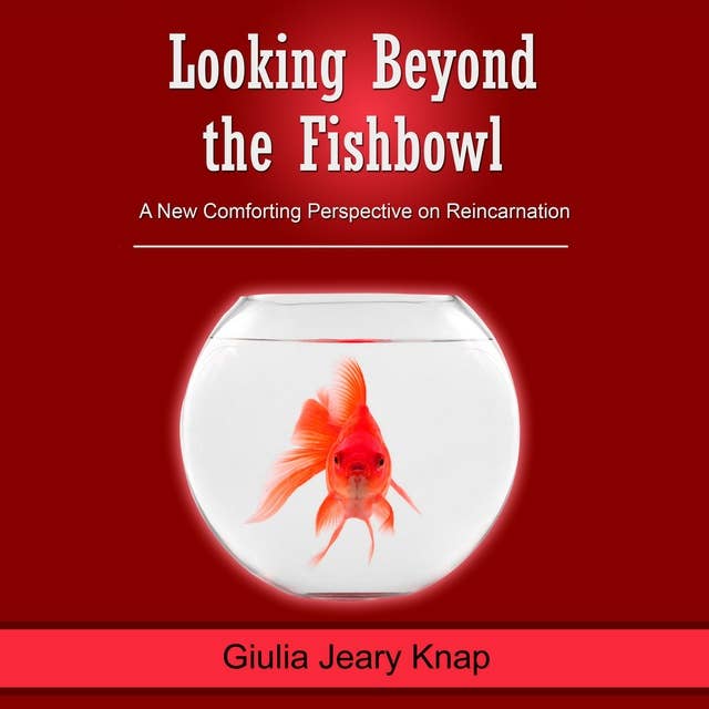 Looking Beyond the Fishbowl: A New Comforting Perspective on Reincarnation