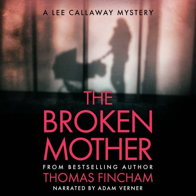 The Broken Mother: A Private Investigator Mystery Series of Crime and Suspense