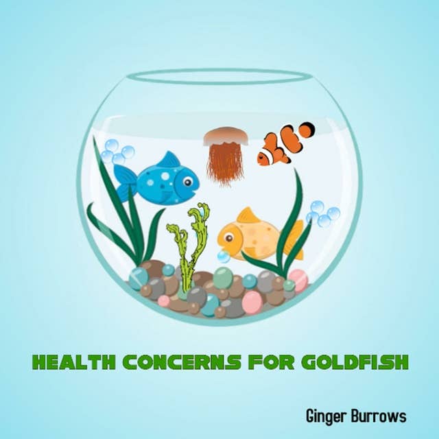 Health Concerns For Goldfish
