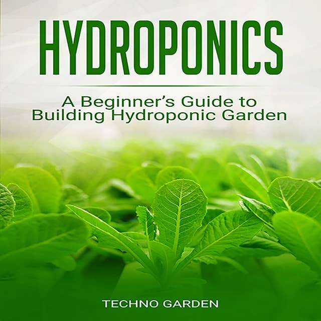 Hydroponics: A Beginner’s Guide to Building Hydroponic Garden