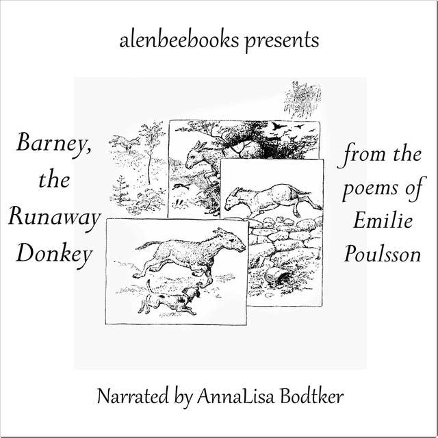 Barney, the Runaway Donkey