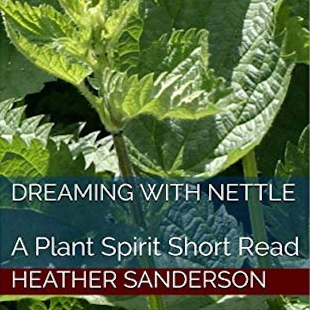 Dreaming with Nettle: A Plant Spirit Short Read