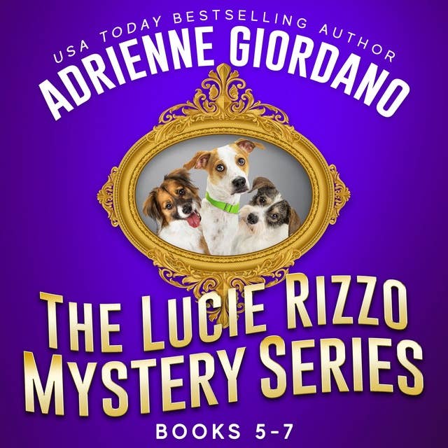 Lucie Rizzo Mystery Series Box Set 2: A Humorous Amateur Sleuth Mystery Series