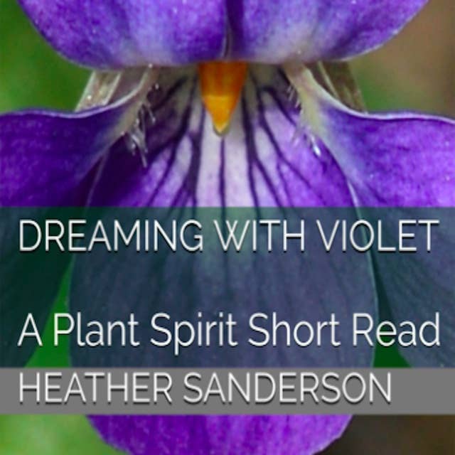 Dreaming with Violet: A Plant Spirit Short Read