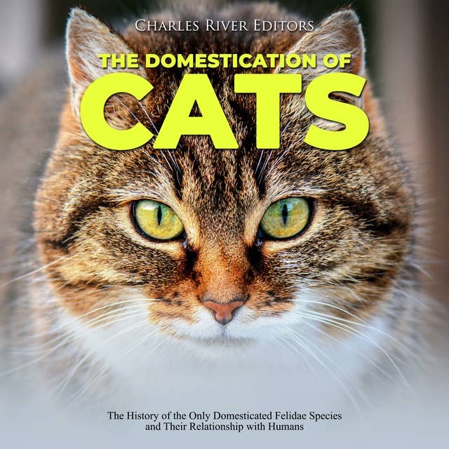 The Domestication of Cats: The History of the Only Domesticated Felidae Species and Their Relationship with Humans