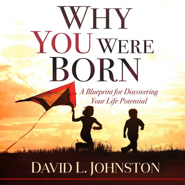 Why You Were Born: A Blueprint for Discovering Your Life Potential