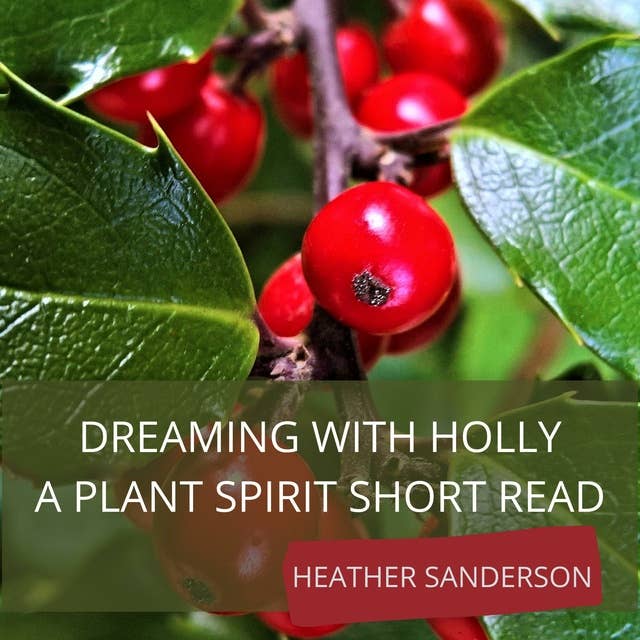 Dreaming with Holly: A Plant Spirit Short Read