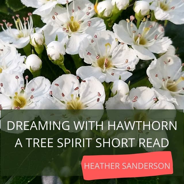 Dreaming with Hawthorn: A Tree Spirit Short Read