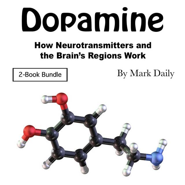 Dopamine: How Neurotransmitters and the Brain’s Regions Work