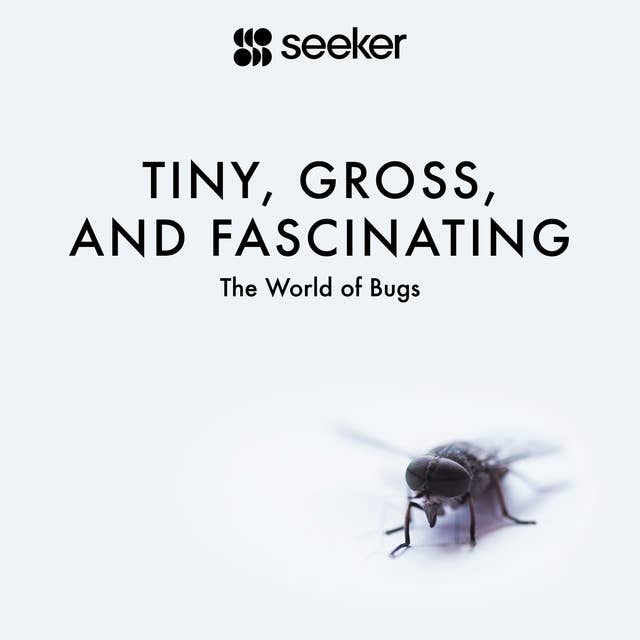 Tiny, Gross, and Fascinating: The World of Bugs