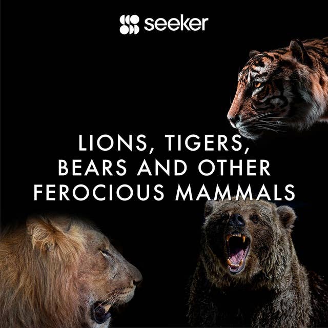 Lions, Tigers, Bears and Other Ferocious Mammals
