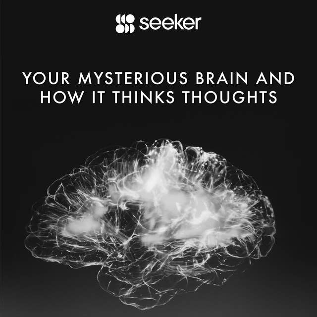 Your Mysterious Brain and How It Thinks Thoughts