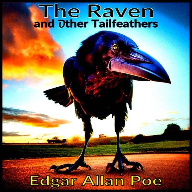 The Raven - and Other Tailfeathers