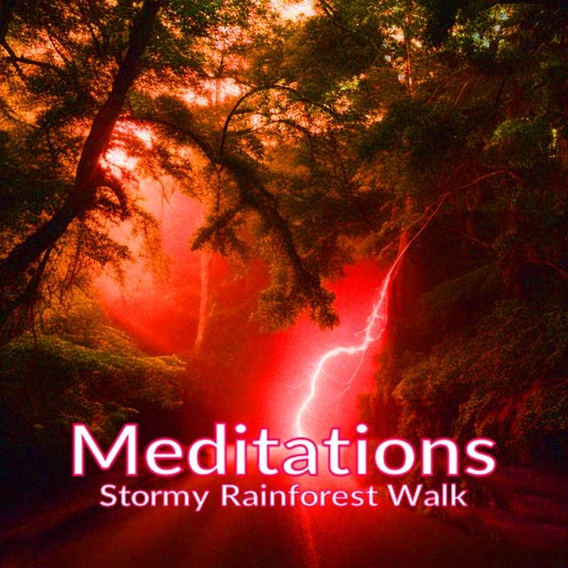 Meditations - Stormy Rainforest Walk