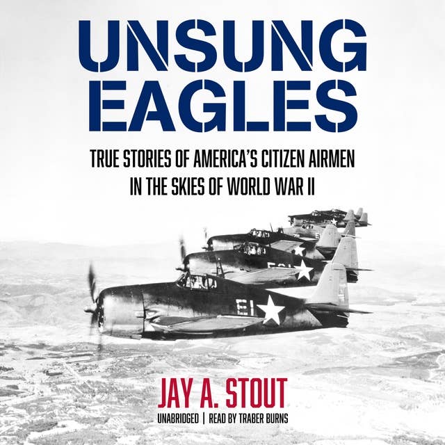 Unsung Eagles: True Stories of America’s Citizen Airmen in the Skies of World War II