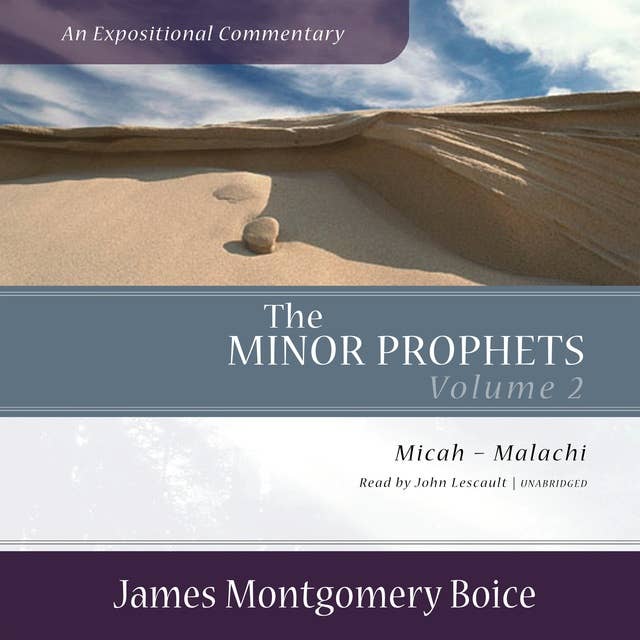 The Minor Prophets: An Expositional Commentary, Volume 2: Micah–Malachi