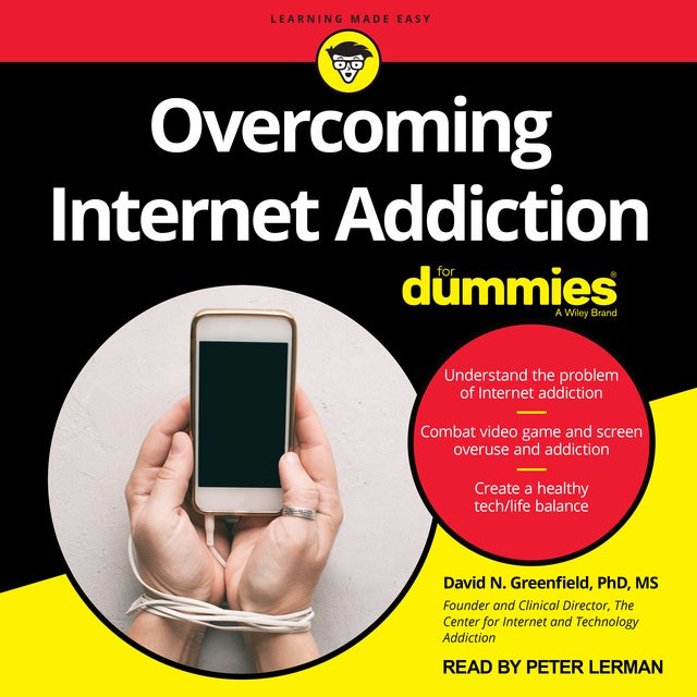 Porn For Dummies