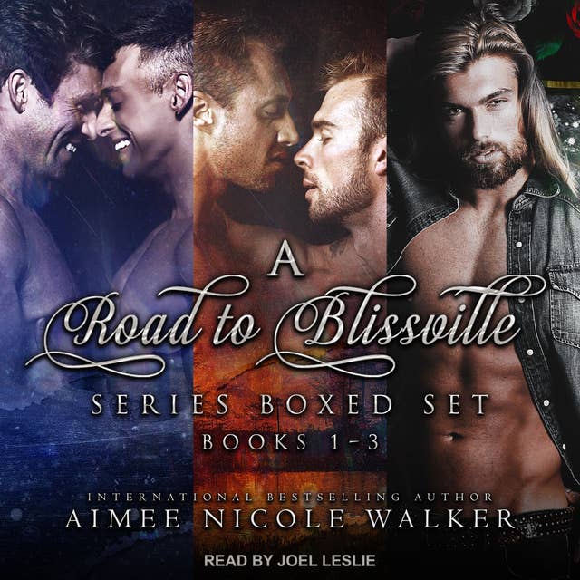 A Road to Blissville Series Boxed Set: Books 1-3