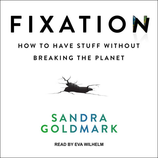 Fixation: How to Have Stuff without Breaking the Planet