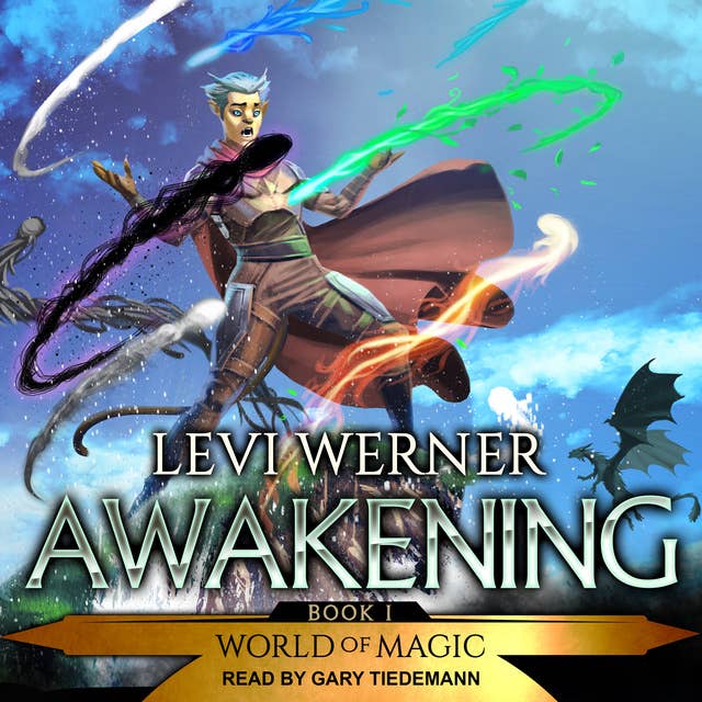 Cover for Awakening: A LitRPG/GameLit Series