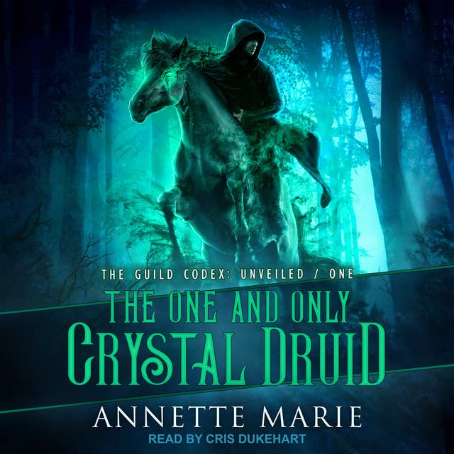 Cover for The One and Only Crystal Druid