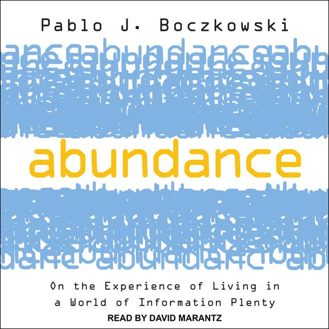 Cover for Abundance: On the Experience of Living in a World of Information Plenty
