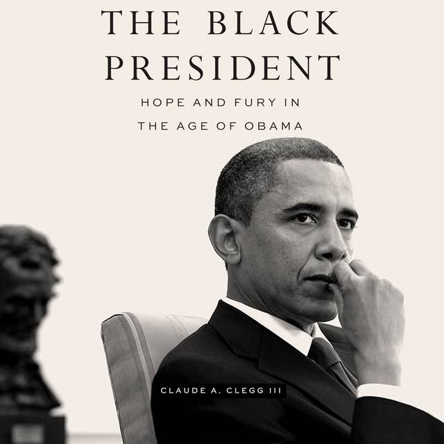 Cover for The Black President: Hope and Fury in the Age of Obama