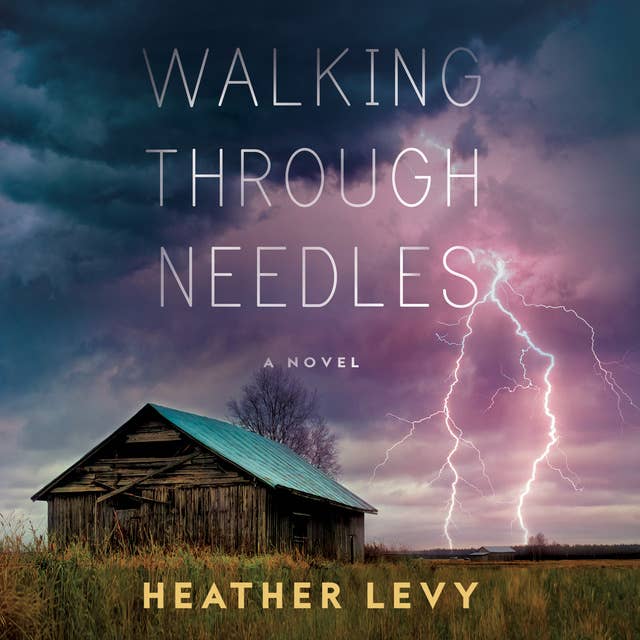 Cover for Walking Through Needles