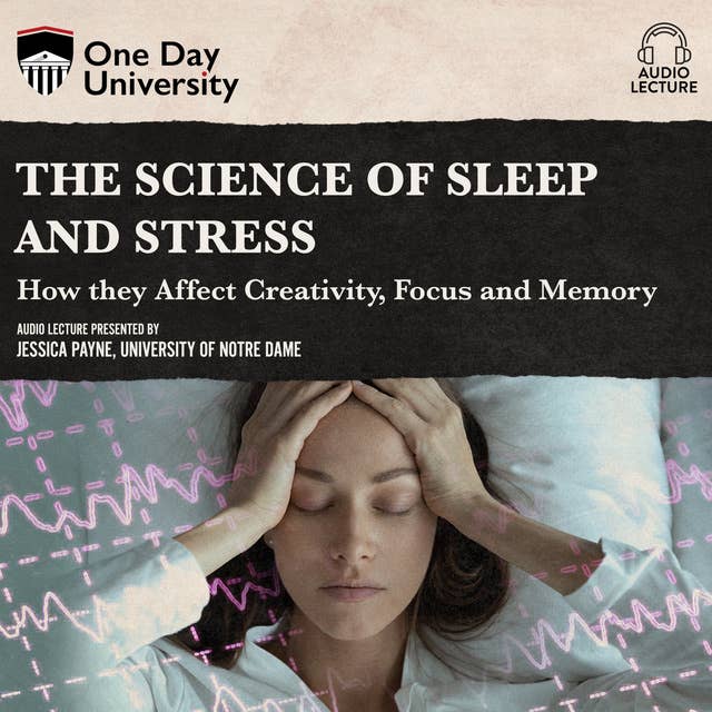 The Science of Sleep and Stress: How they Affect Creativity, Focus, and Memory